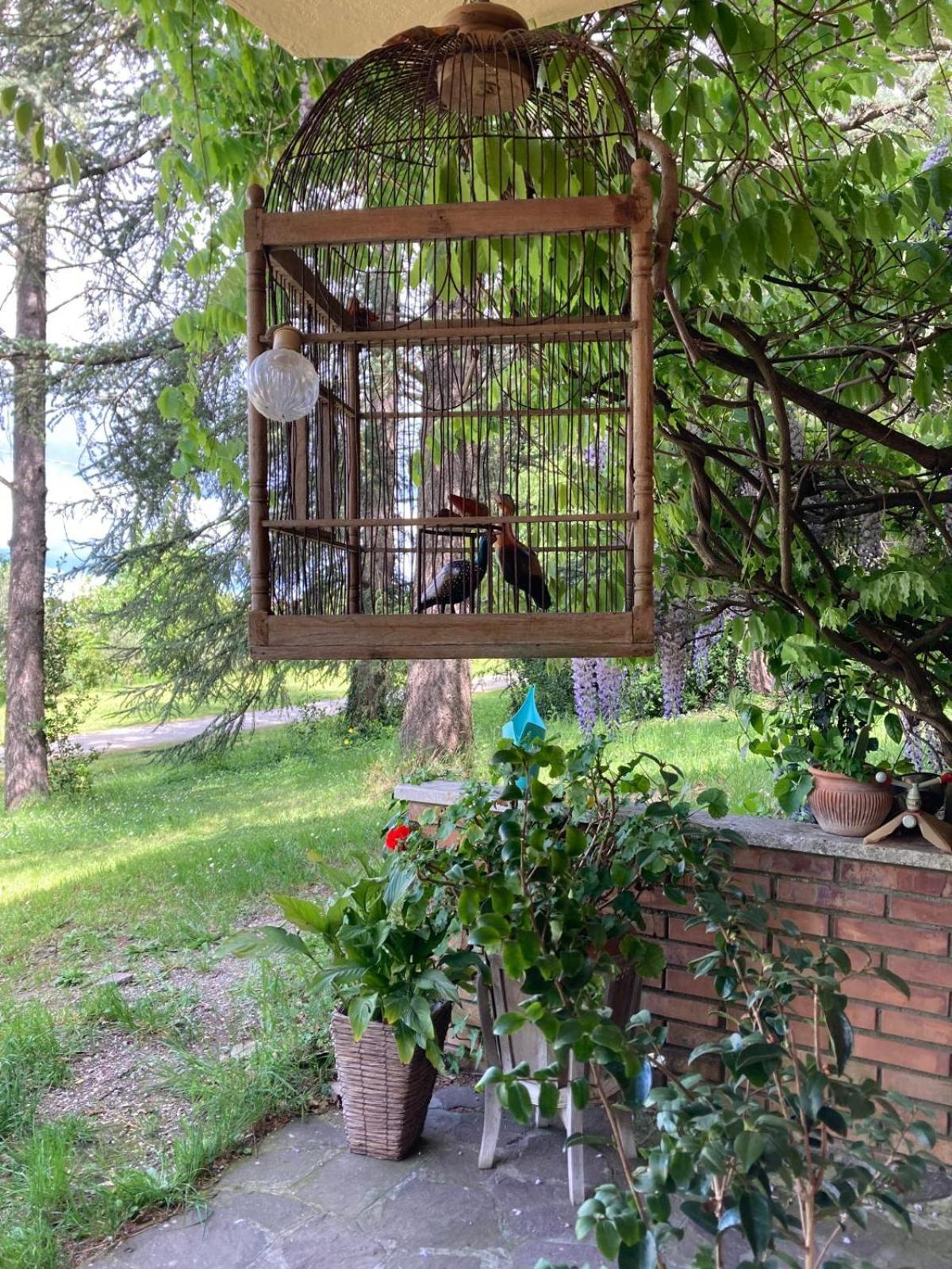 B&B Mama Ro Cesena Exterior photo